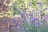 Vorlage Banner
